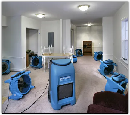 Water Damage Restoration services in Felida, WA