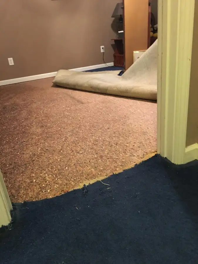 Carpet pad removal revealing water damage during Water Mitigation Services in Felida