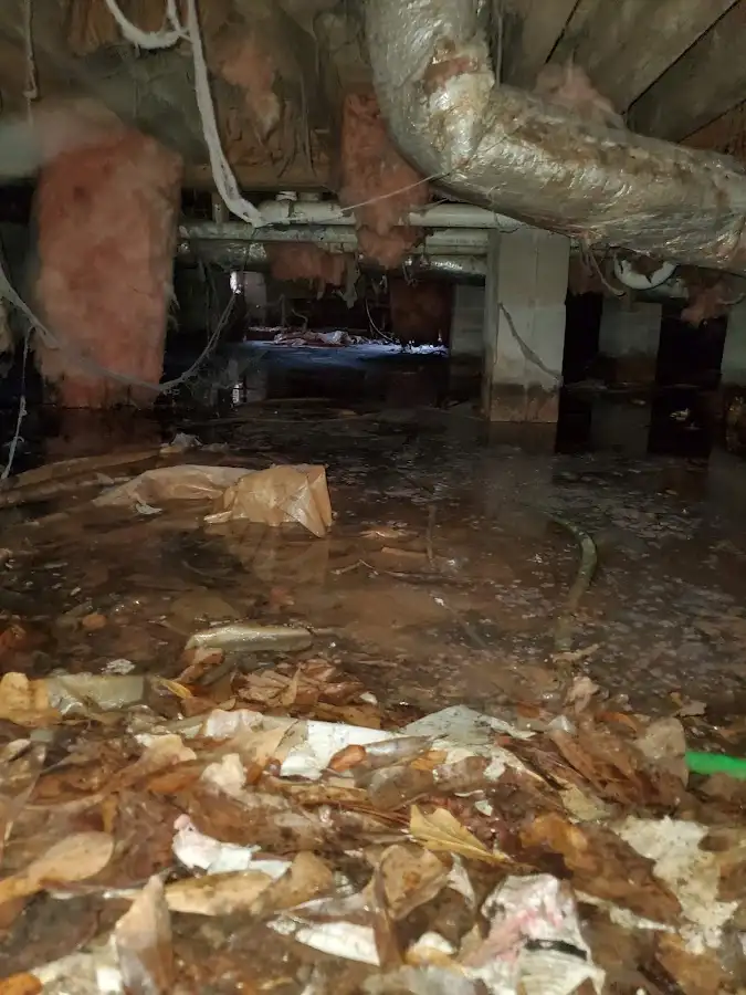 Crawl space flood assessment for Leak Detection & Repair in Felida